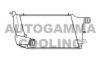 AUTOGAMMA 103765 Intercooler, charger